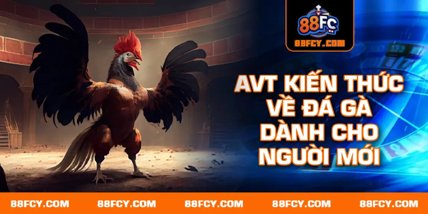 kiến thức đá gà dành cho người mới